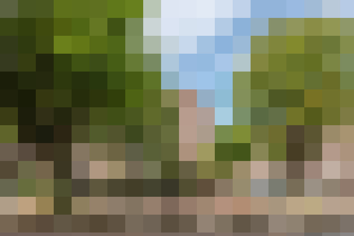 Image 79