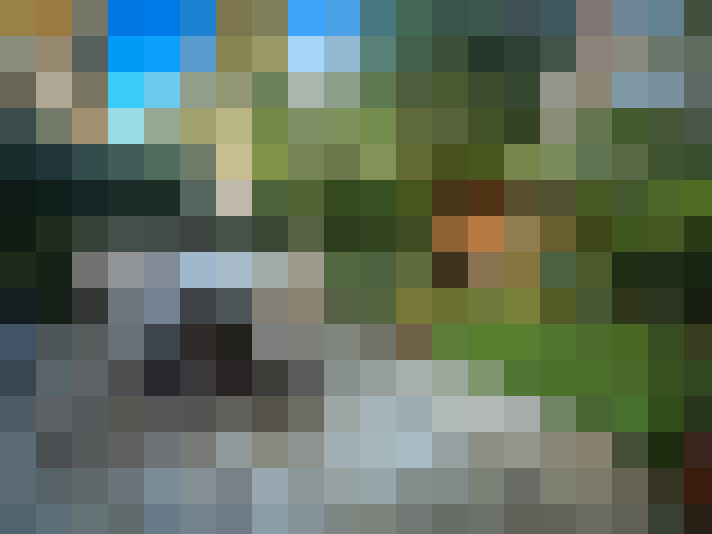 Image 43