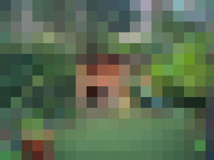 Image 46