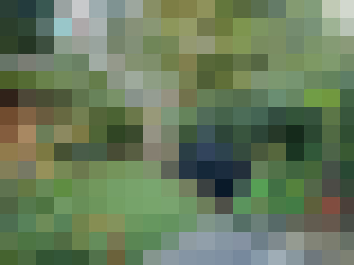 Image 48