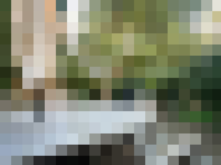 Image 51