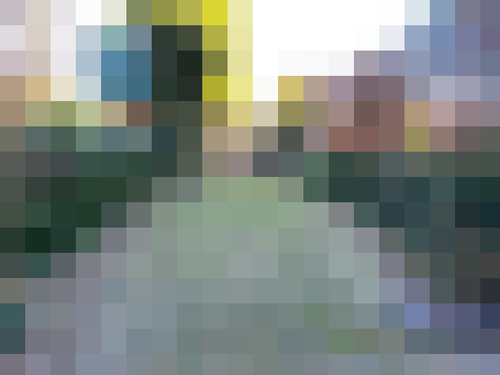 Image 29