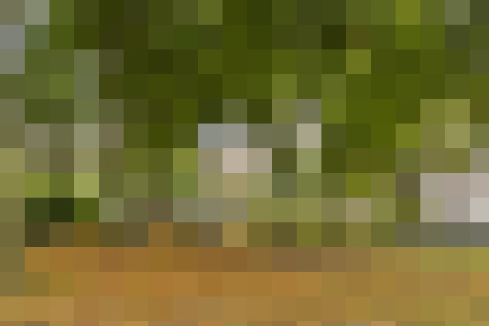 Image 20