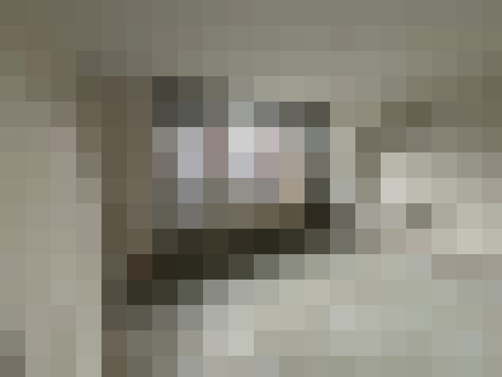 Image 13