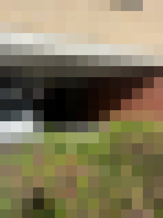 Image 20