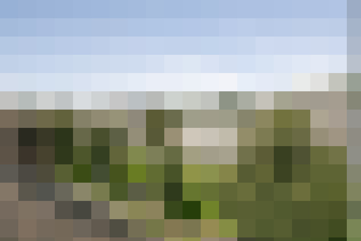 Image 27
