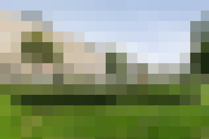 Image 30
