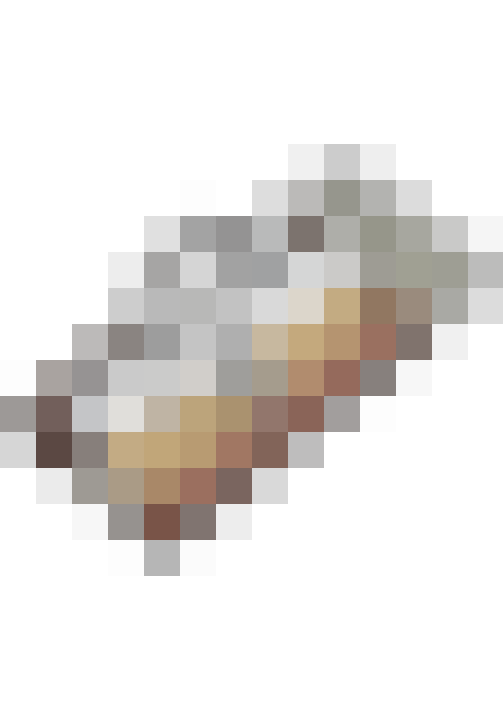 Image 63
