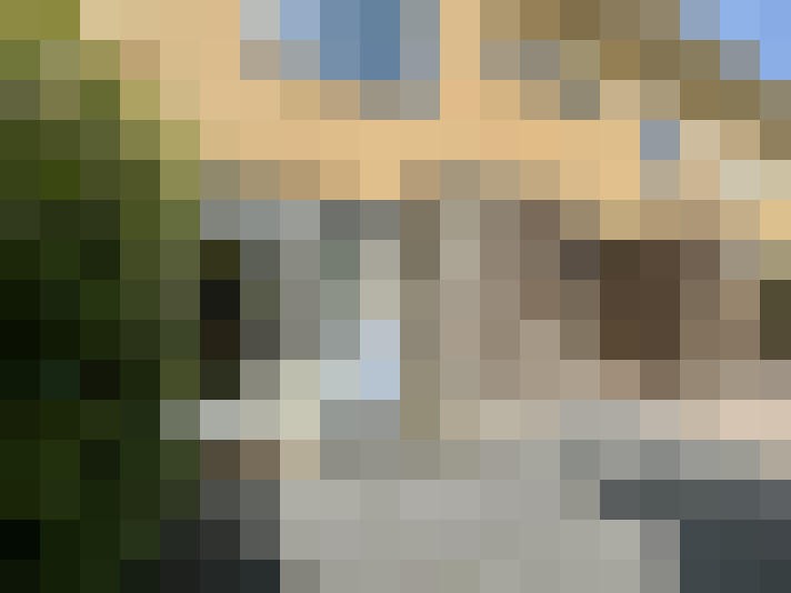 Image 13