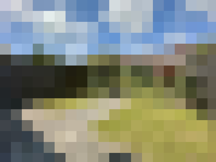 Image 20
