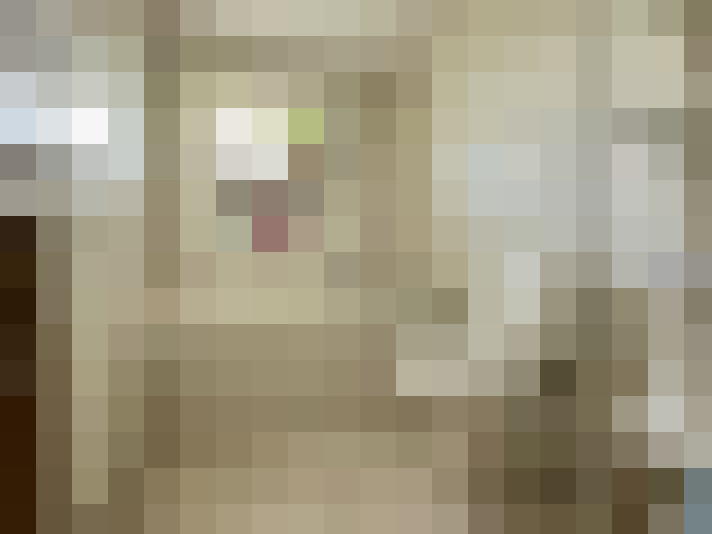 Image 28