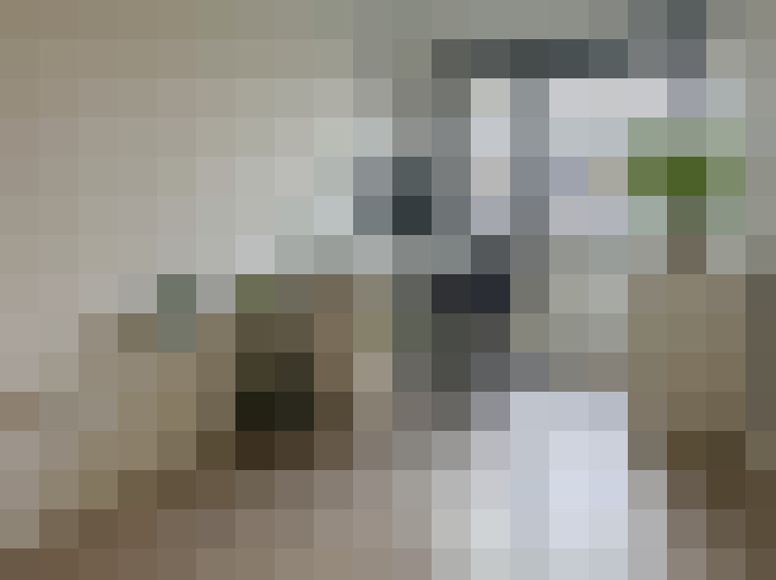 Image 30