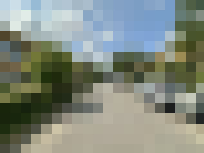 Image 36