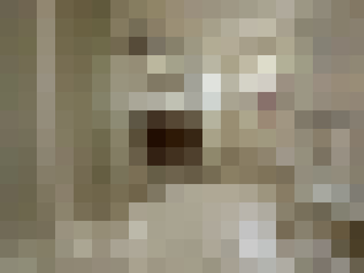 Image 27