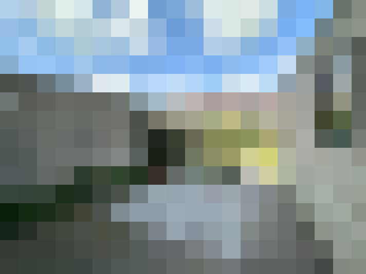 Image 16