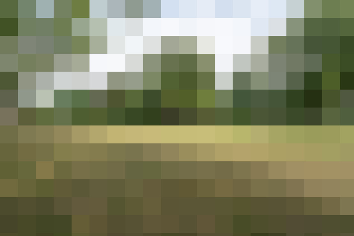 Image 33