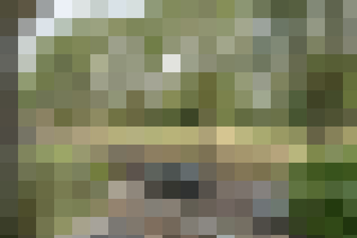 Image 17