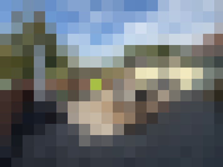 Image 13