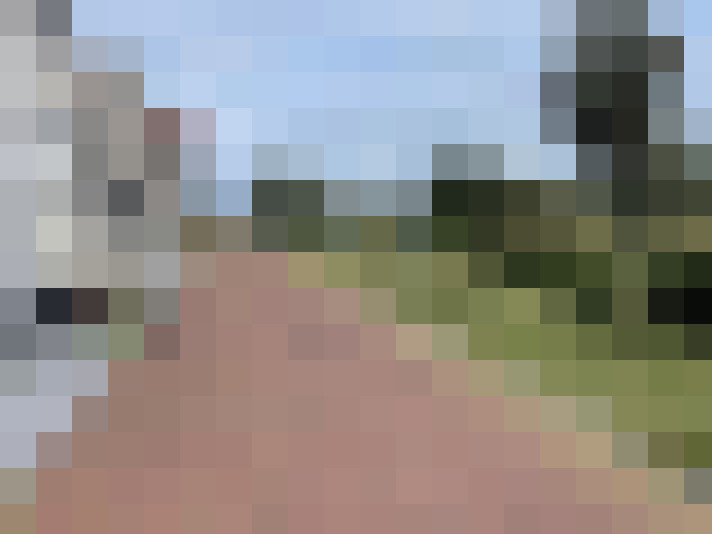 Image 50