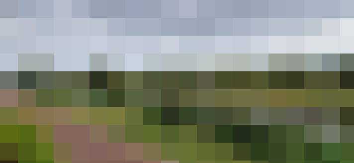 Image 39