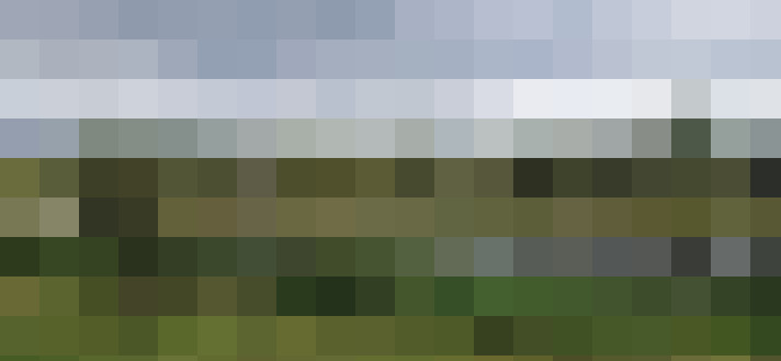 Image 42