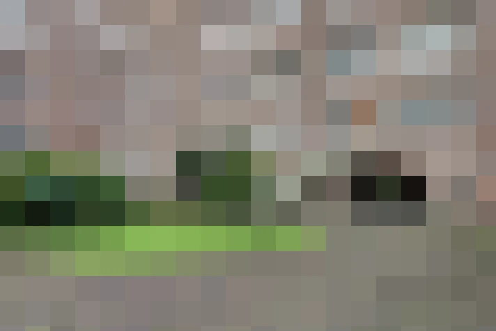 Image 22