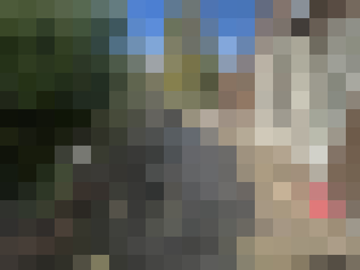Image 39