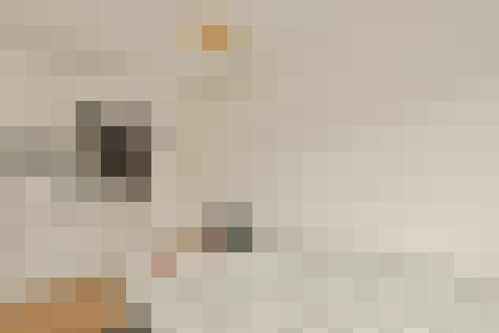 Image 20