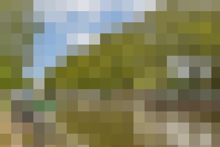 Image 32