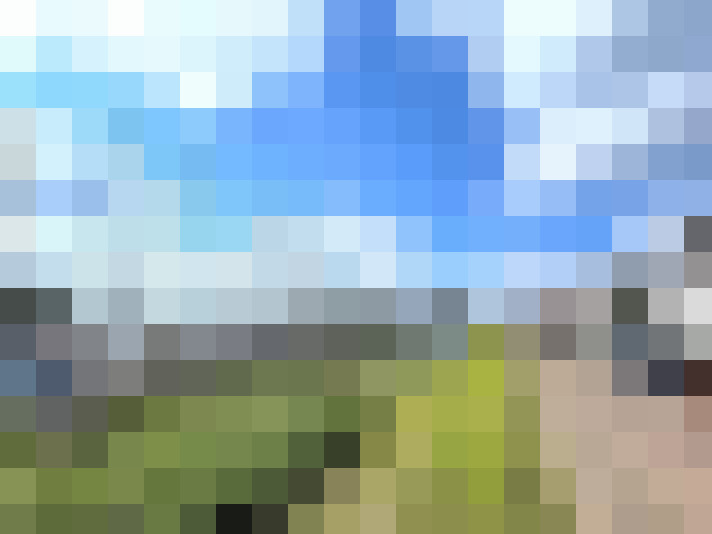Image 25