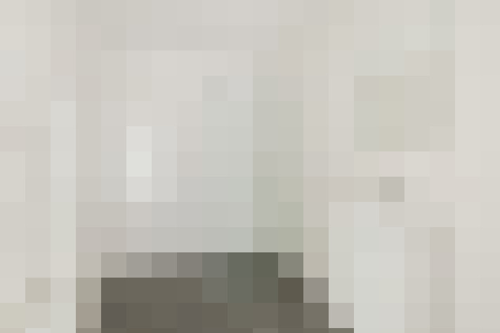  / #81