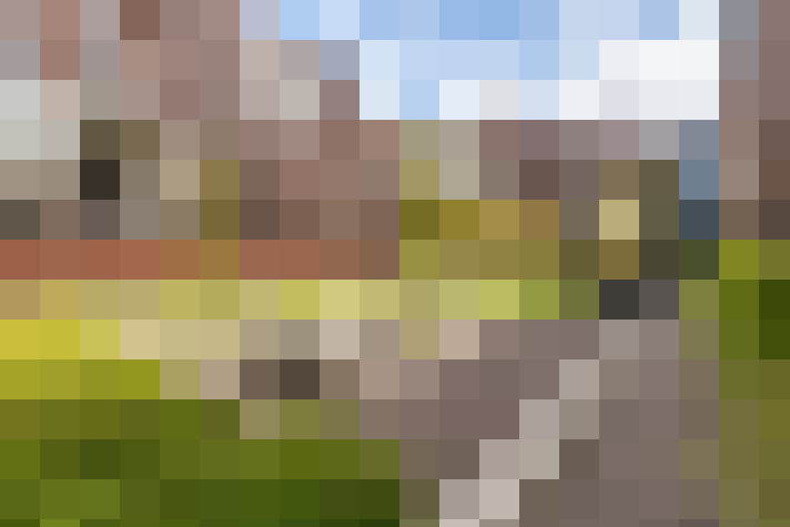  / #47
