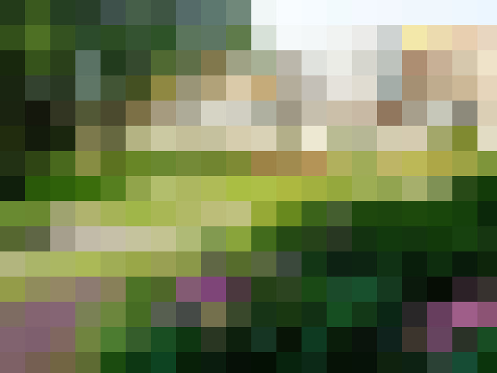 Image 16