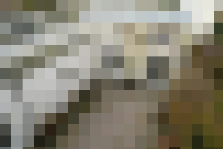 Image 56