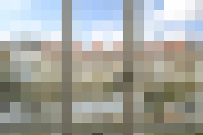 Image 66
