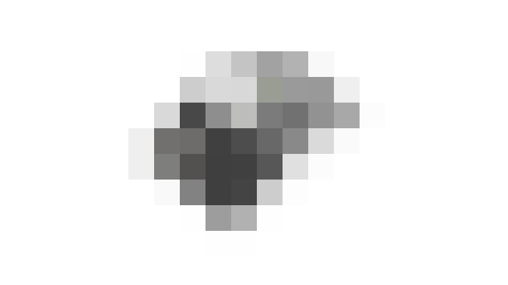 Image 22