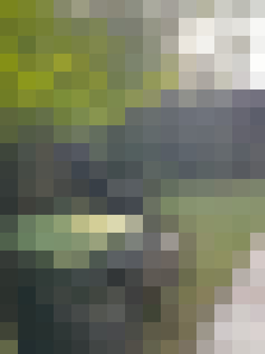 Image 13
