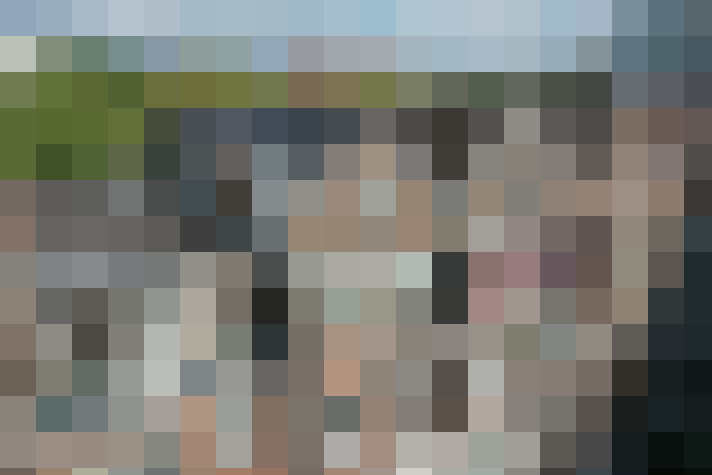 Image 15