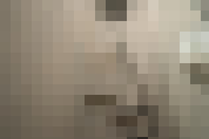 Image 17