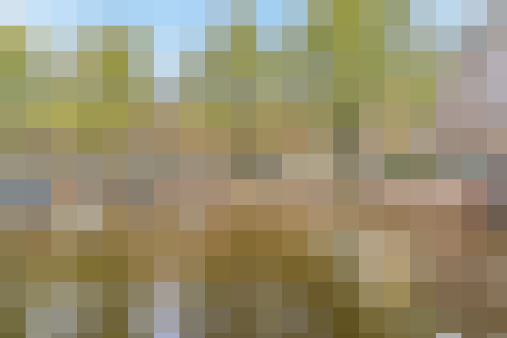 Image 25