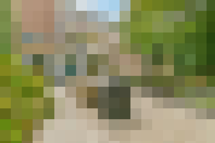 Image 24