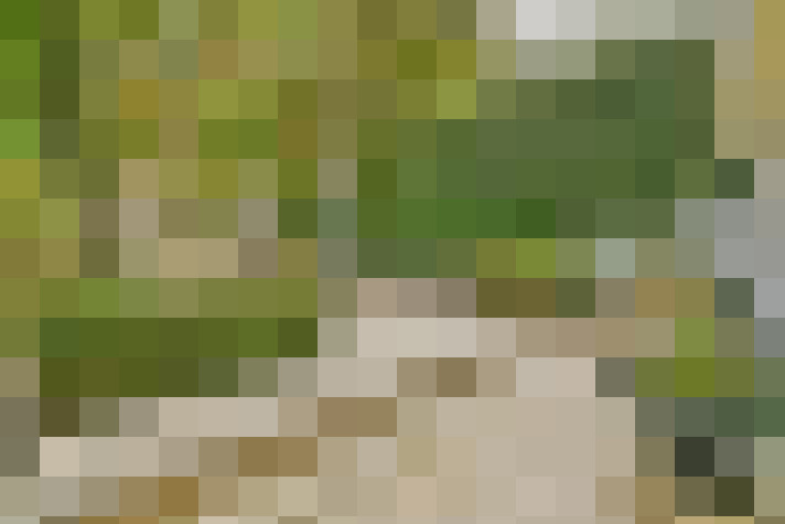 Image 23