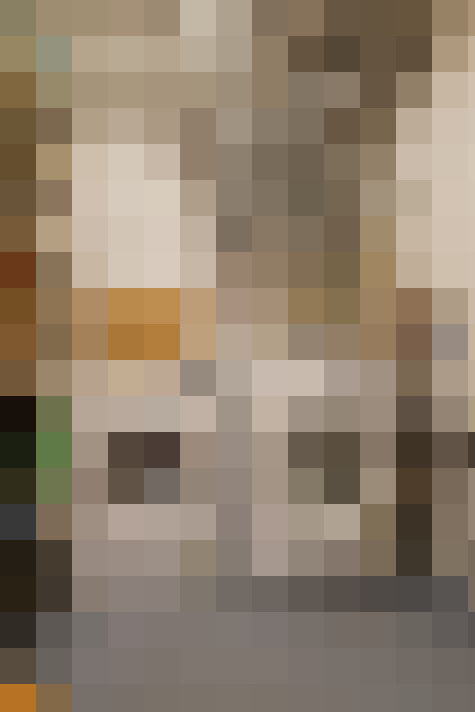 Image 13