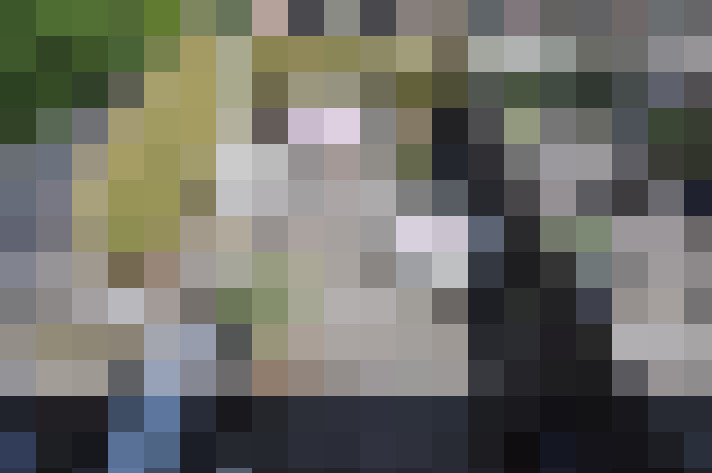 Image 46