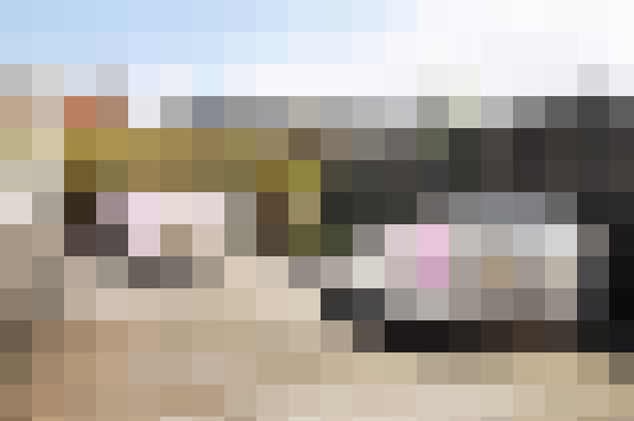 Image 45
