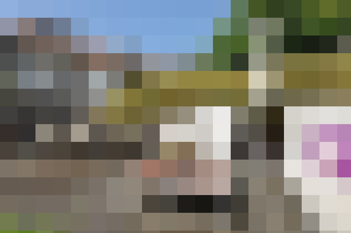 Image 48