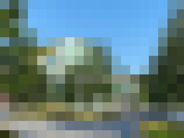 Image 15