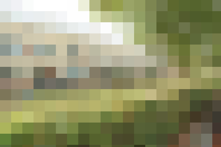 Image 23