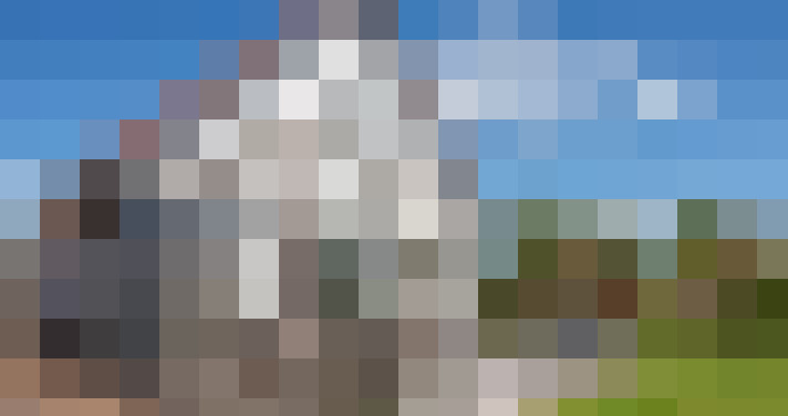Image 22