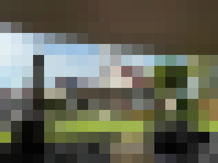 Image 20